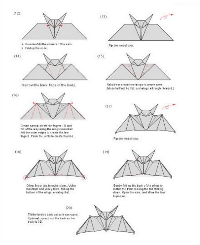 折纸的白叔蝙蝠图片