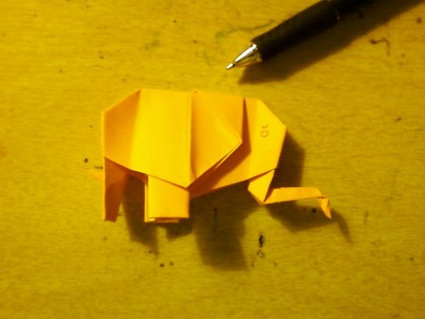 详细的大象折纸教程,折纸大象应该怎么折