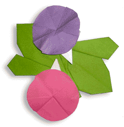 儿童折纸，简单折纸教程之喇叭花折纸方法