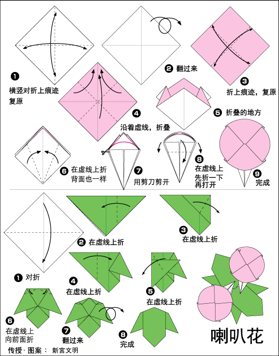儿童折纸，简单折纸教程之喇叭花折纸方法