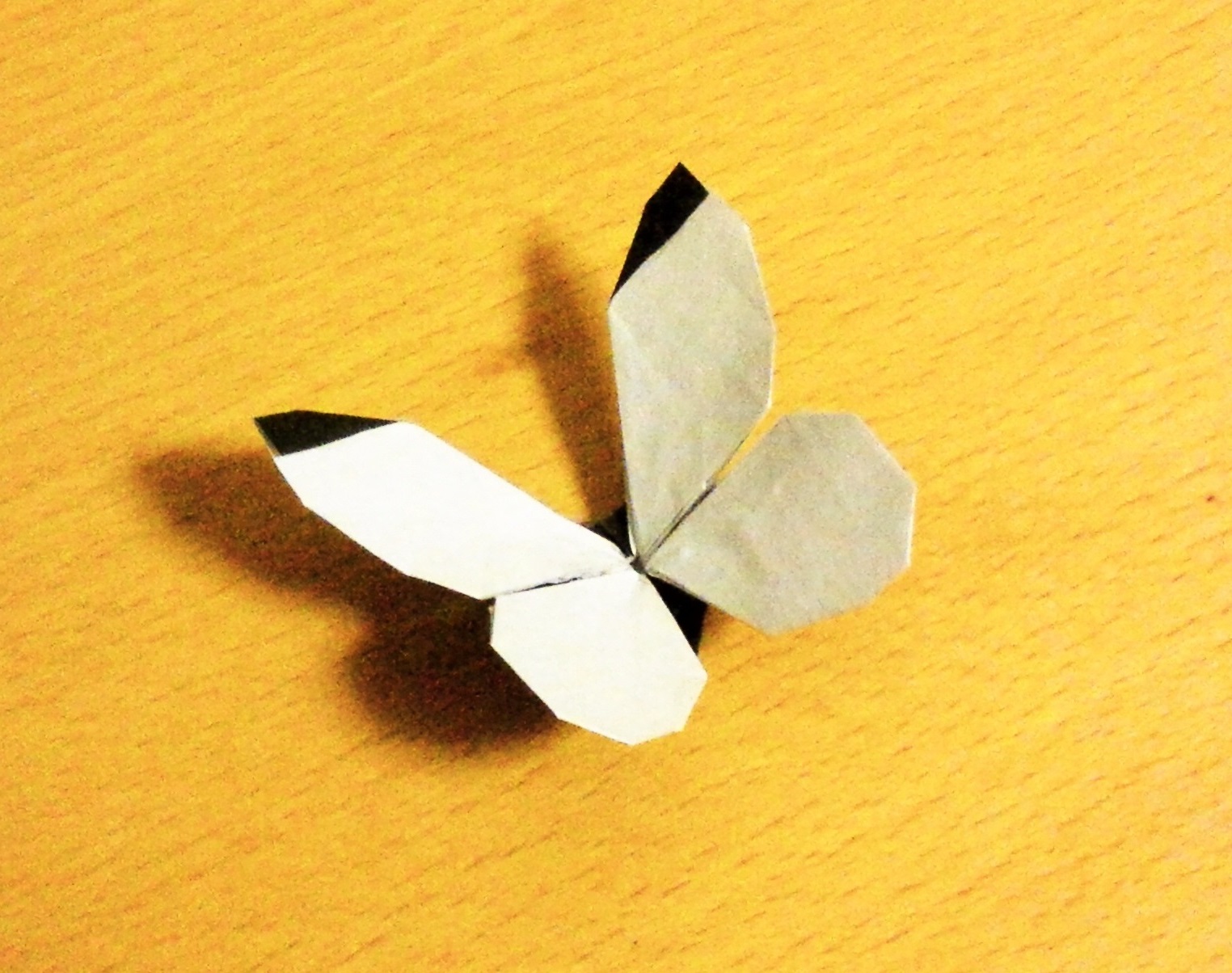 漂亮的纸蝴蝶折纸，今井菜粉蝶蝴蝶手工折纸实拍图解教程