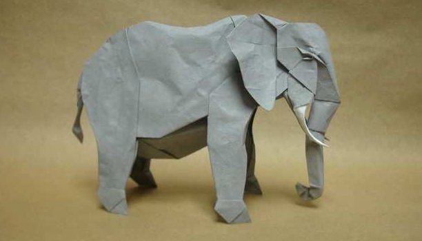 ֹֽֽ̳̣Shuki Kato  African Elephant PDFֹֽͼֽ̳