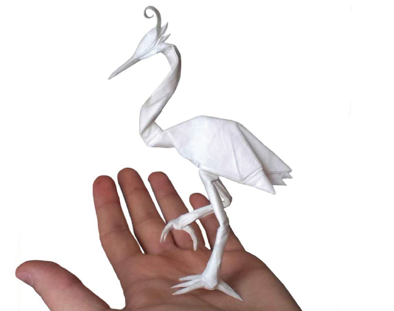 ֹֽֽ̳̣Riccardo Foschi Egret  PDFֹֽͼ̳