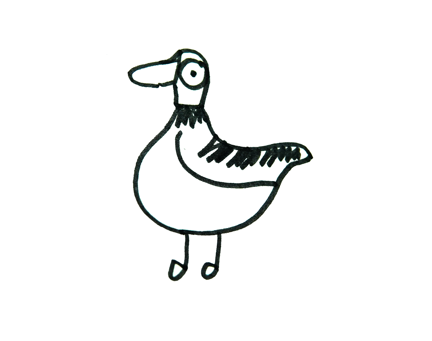 简单有趣的动物简笔画系列之鸭子的画法图解 肉丁儿童网