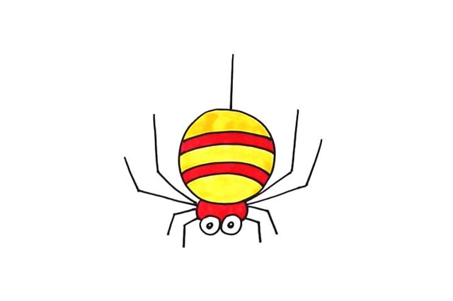 蜘蛛简笔画怎么画简单