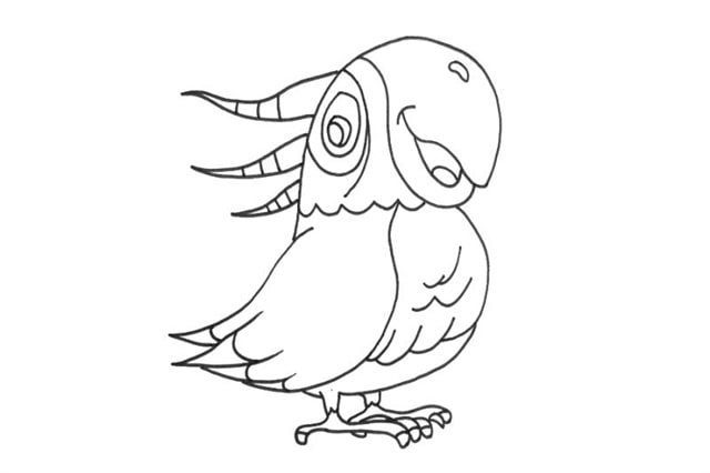 漂亮的鹦鹉简笔画画法步骤图片