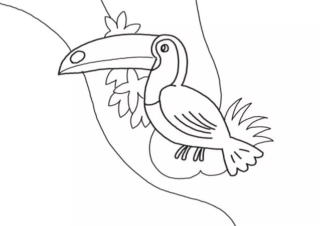 2种漂亮的小鸟简笔画（巨嘴鸟/蜂鸟）