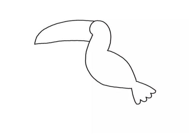 2种漂亮的小鸟简笔画（巨嘴鸟/蜂鸟）