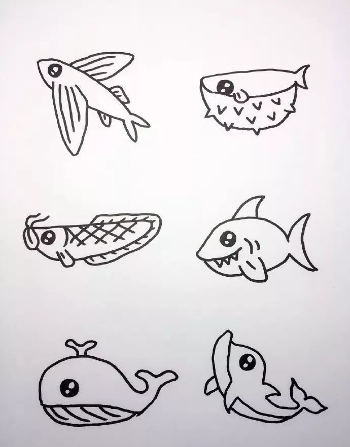 海底世界海洋生物简笔画图片
