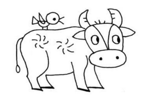 牛年儿童各种牛的简笔画图片大全（61p）