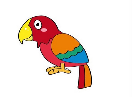 鹦鹉简笔画怎么画步骤图片彩色