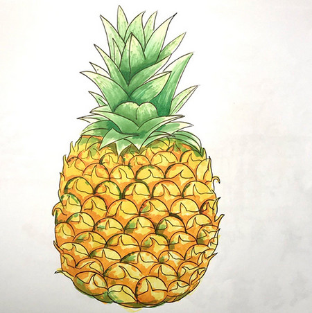水果菠萝简笔画怎么画步骤图