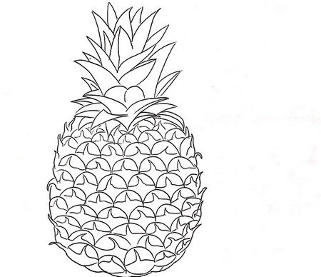 水果菠萝简笔画怎么画步骤图