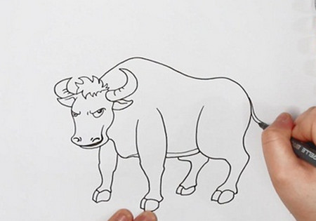 水牛的简笔画步骤图片