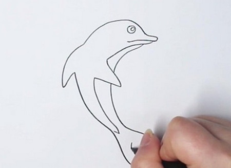海洋生物海豚简笔画步骤图解
