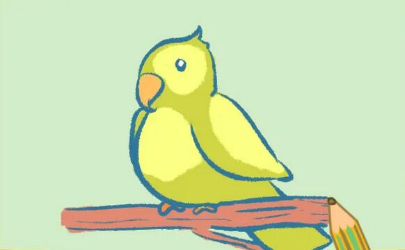 小鸟鹦鹉简笔画教程图片