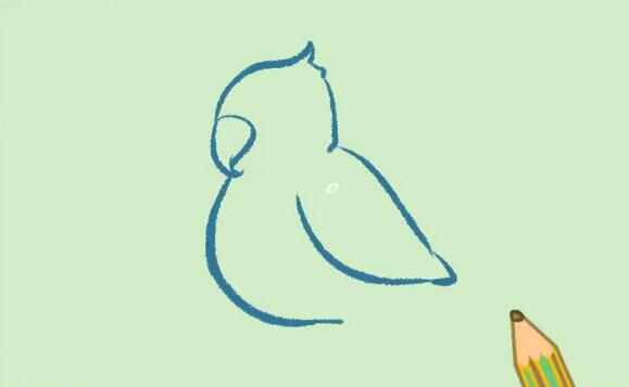 小鸟鹦鹉简笔画教程图片