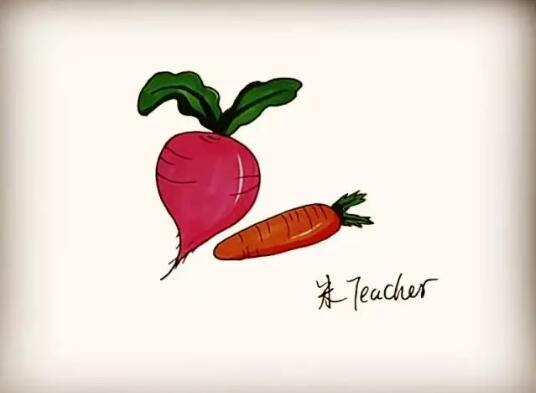 蔬菜萝卜简笔画教程图片