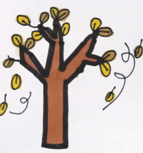 学画简笔画，如何画秋天的树呢？