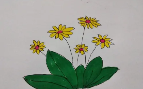 学画简笔画，和宝宝一起来学习菊花的画法