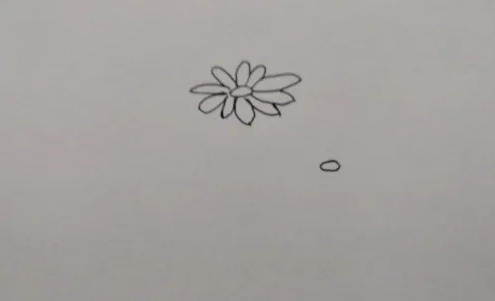 学画简笔画，和宝宝一起来学习菊花的画法
