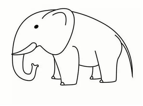 动物大象猴子简笔画教程图片