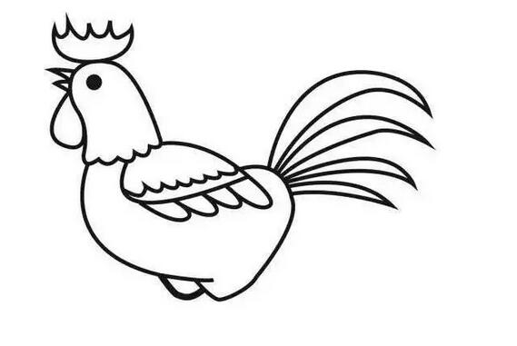 美丽的大公鸡简笔画教程图片