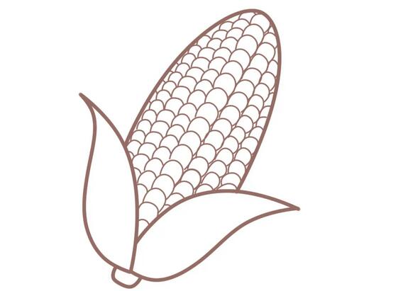 可爱的玉米简笔画教程图片
