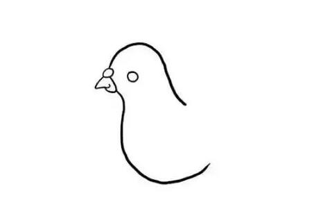 象征着和平的和平鸽简笔画教程图片