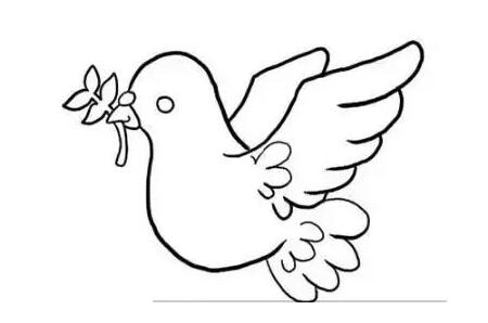 象征着和平的和平鸽简笔画教程图片