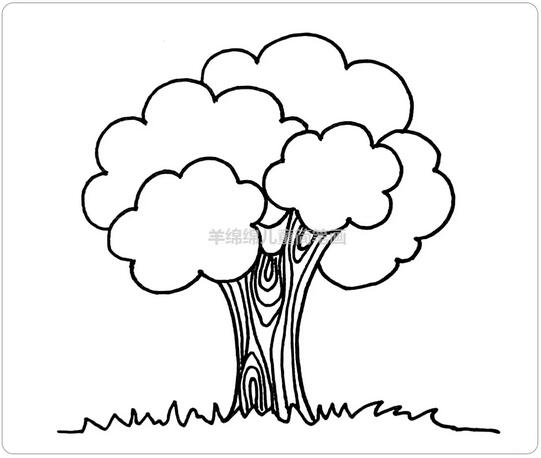 简简单单画漂亮的大树简笔画图片