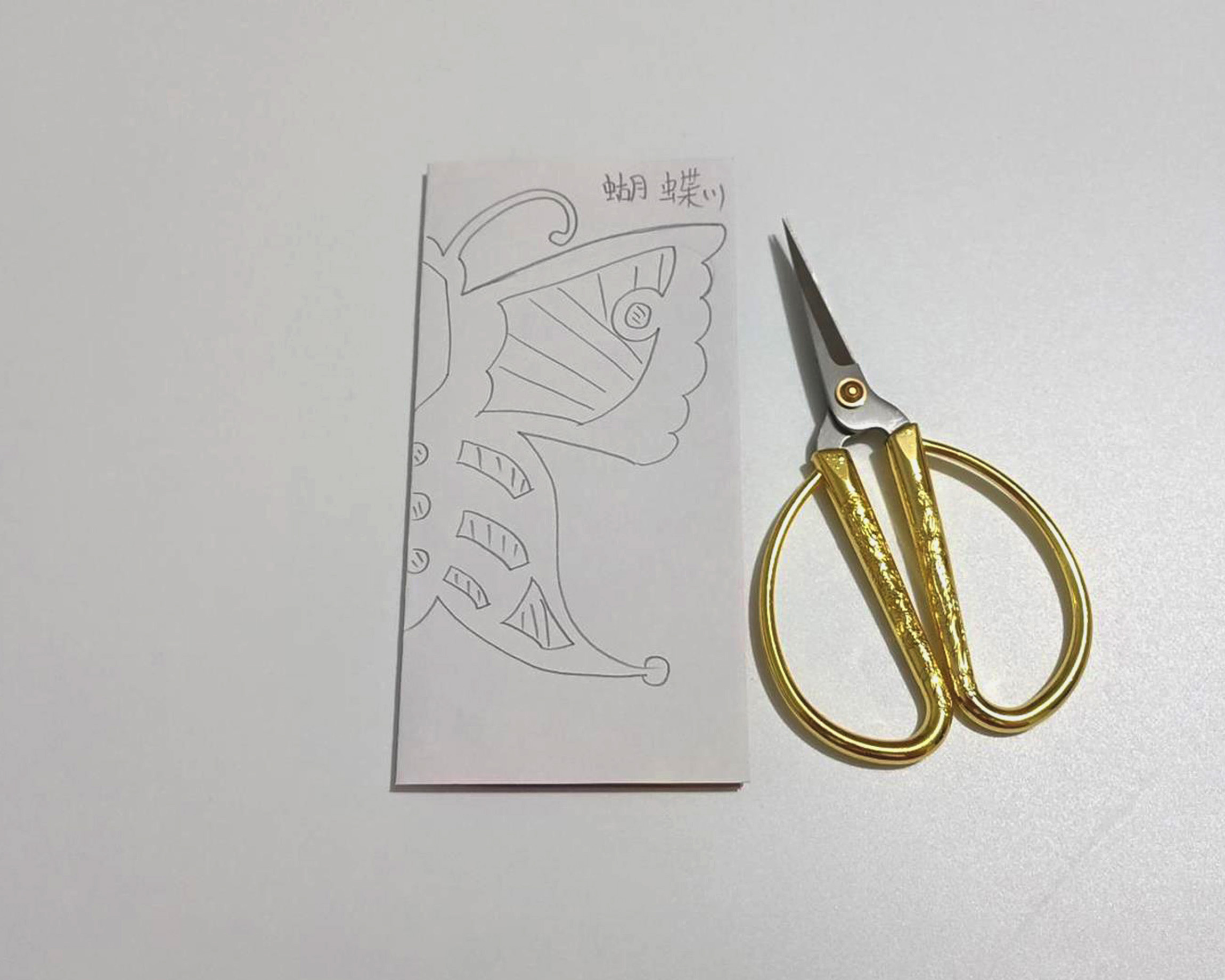 教你用彩纸来制作漂亮的蝴蝶 儿童创意DIY剪纸教程╭★肉丁网