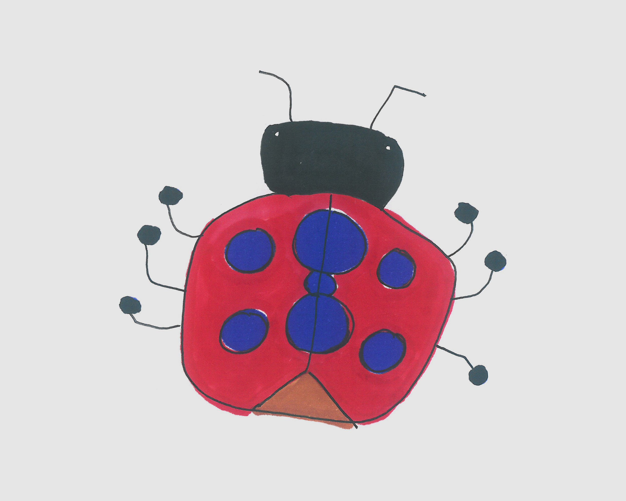 7-9岁简笔画教程 色彩小七星瓢虫的画法图解💛巧艺网