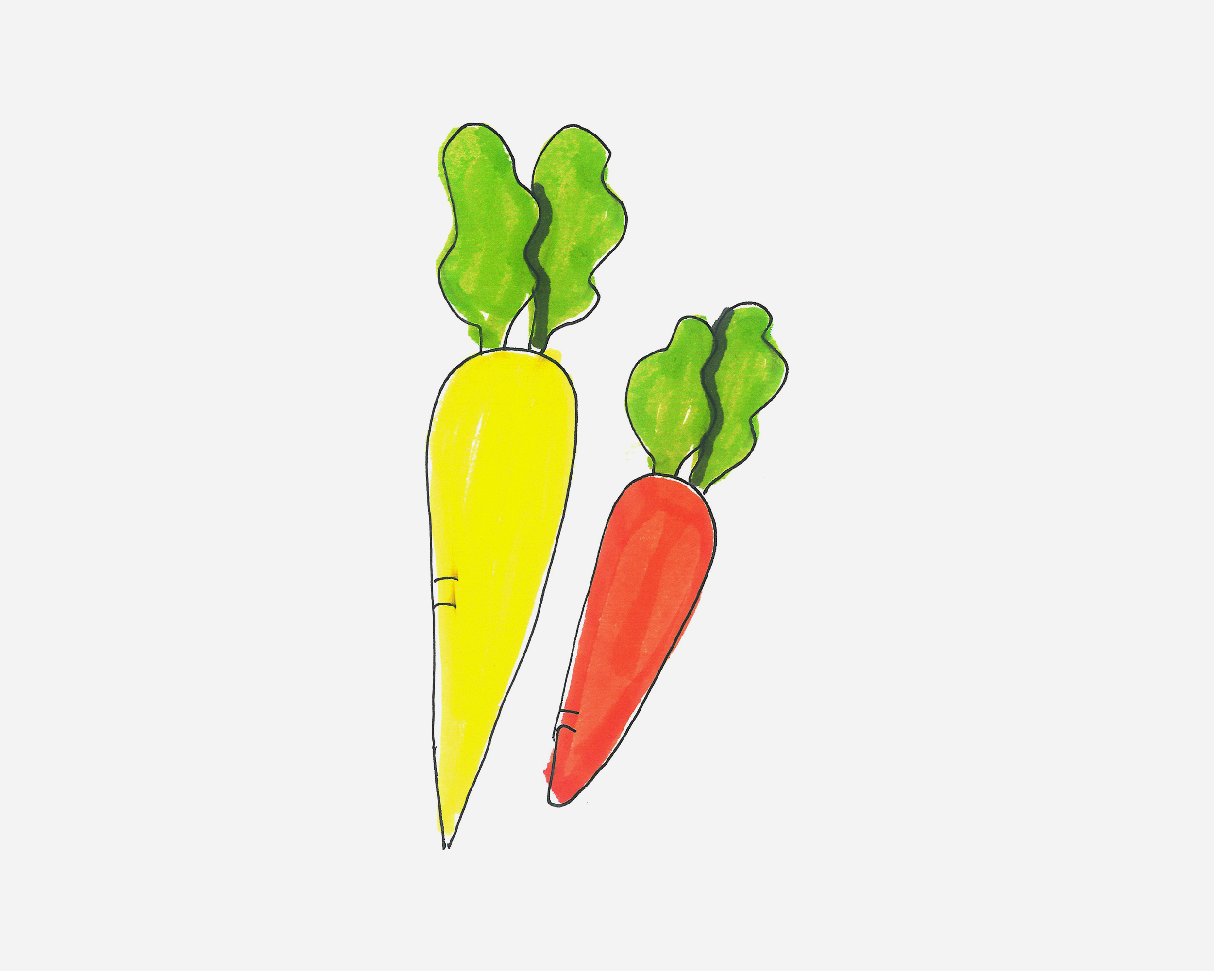 儿童蔬菜简笔画胡萝卜的画法绘画分解步骤 肉丁儿童网