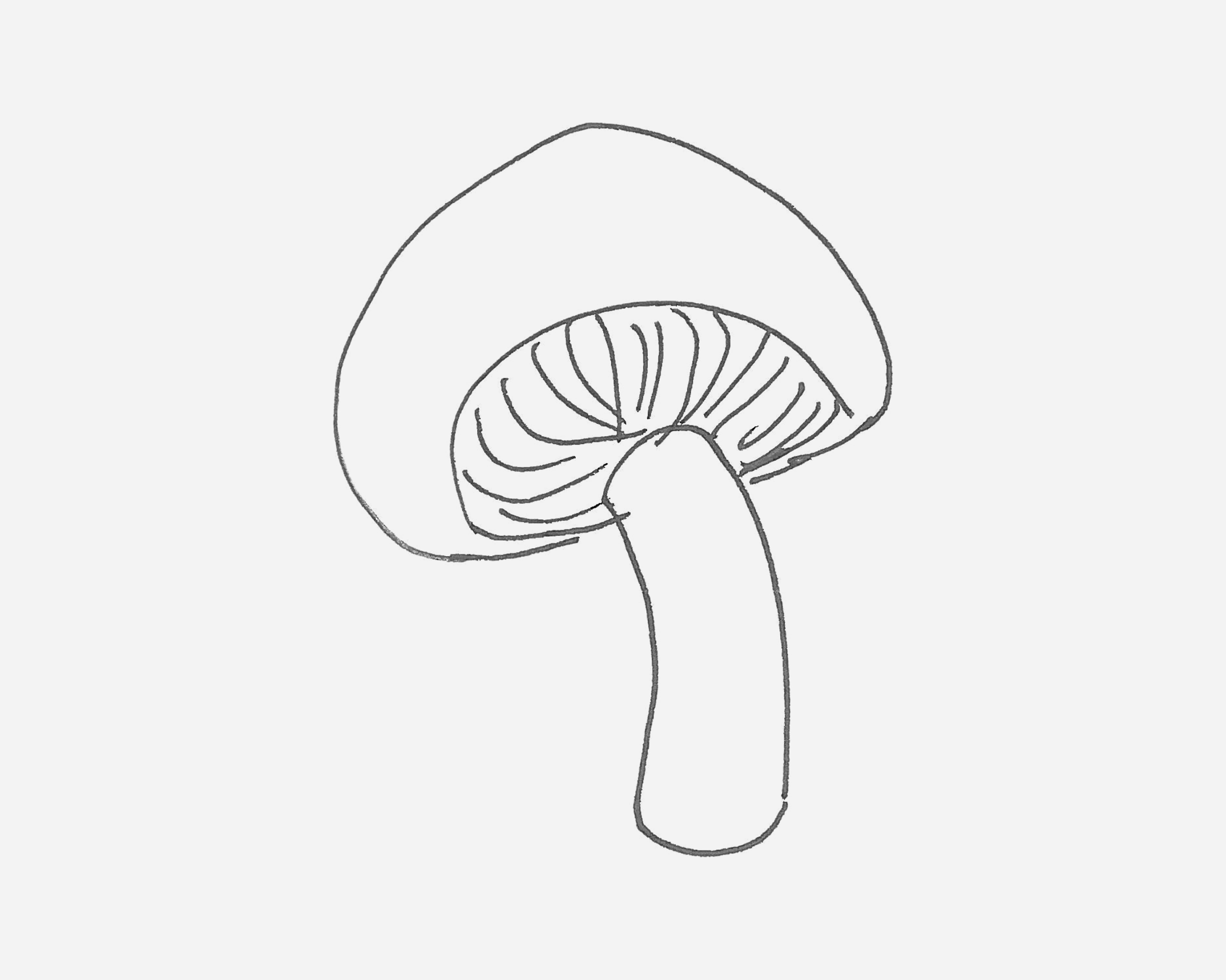 5岁简笔画图片 小蘑菇的画法💛巧艺网