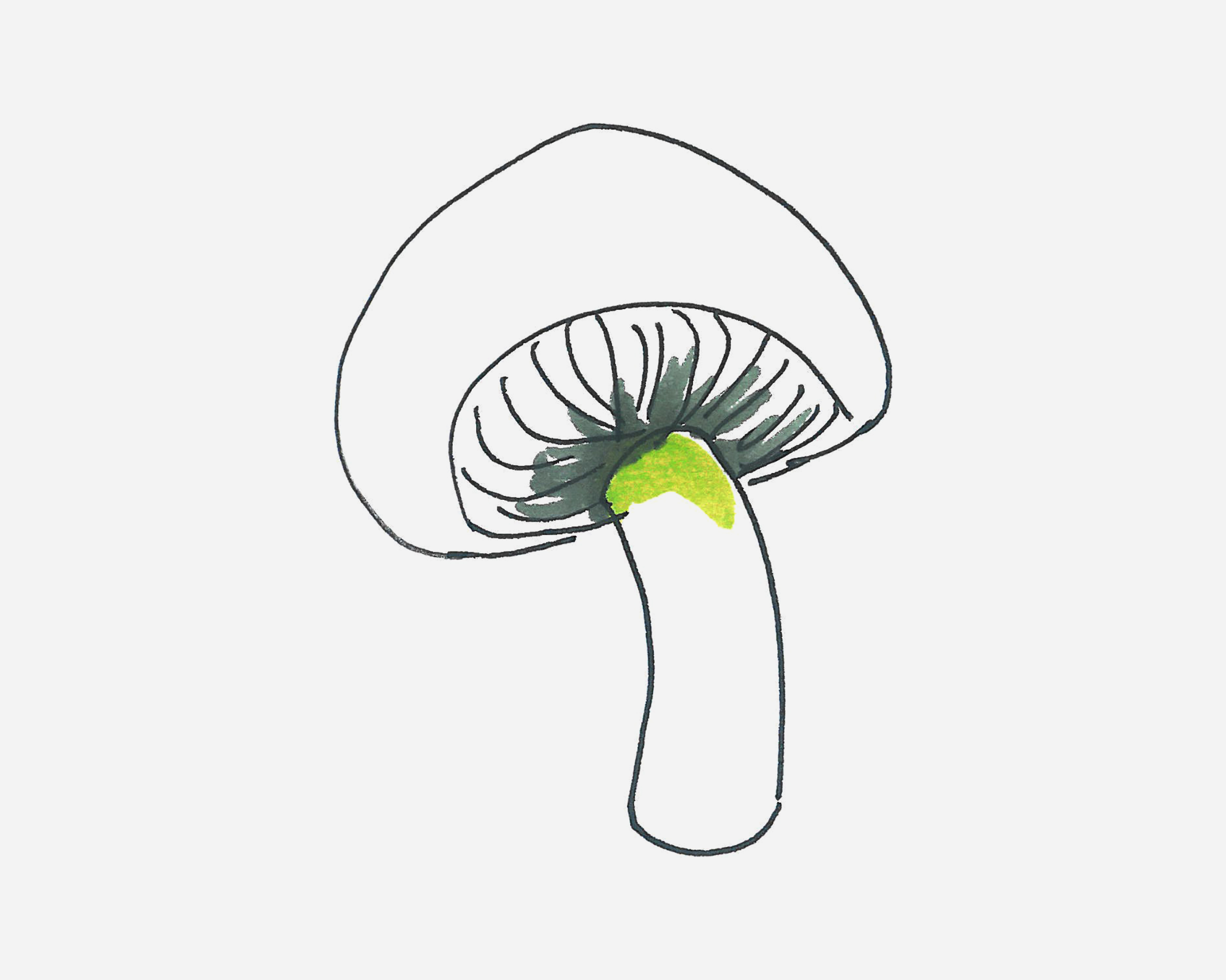 4-6岁简笔画图片 蘑菇怎么画简单又好看💛巧艺网