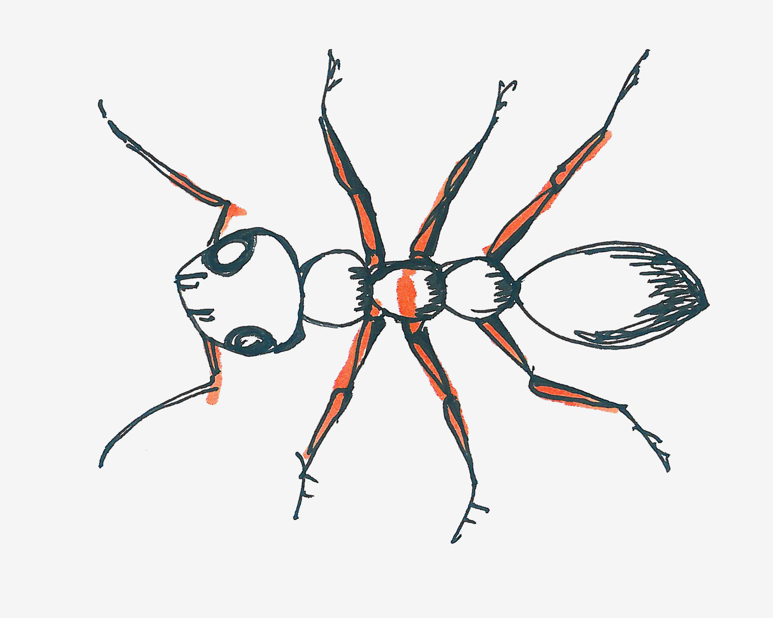 小蚂蚁卡通画设计图__PSD分层素材_PSD分层素材_设计图库_昵图网nipic.com