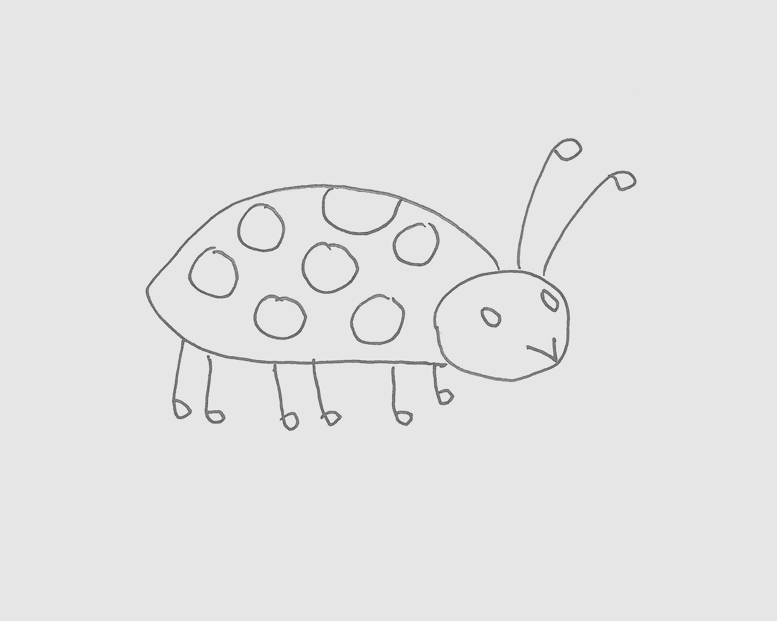 七星瓢虫简笔画小甲虫的画法步骤 肉丁儿童网