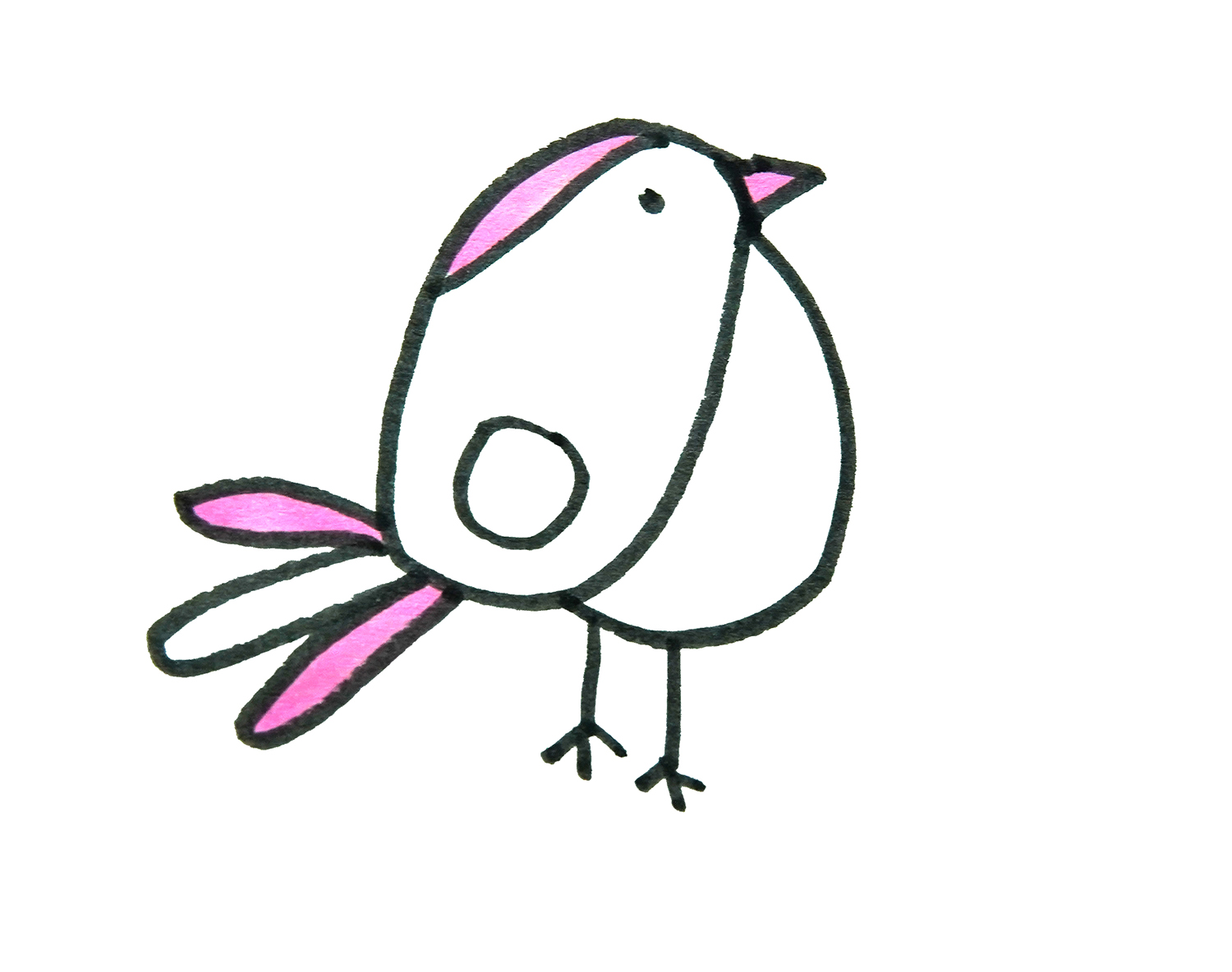 幼儿园趣味动物简笔画 可爱的小鸟简笔画教程图 肉丁儿童网