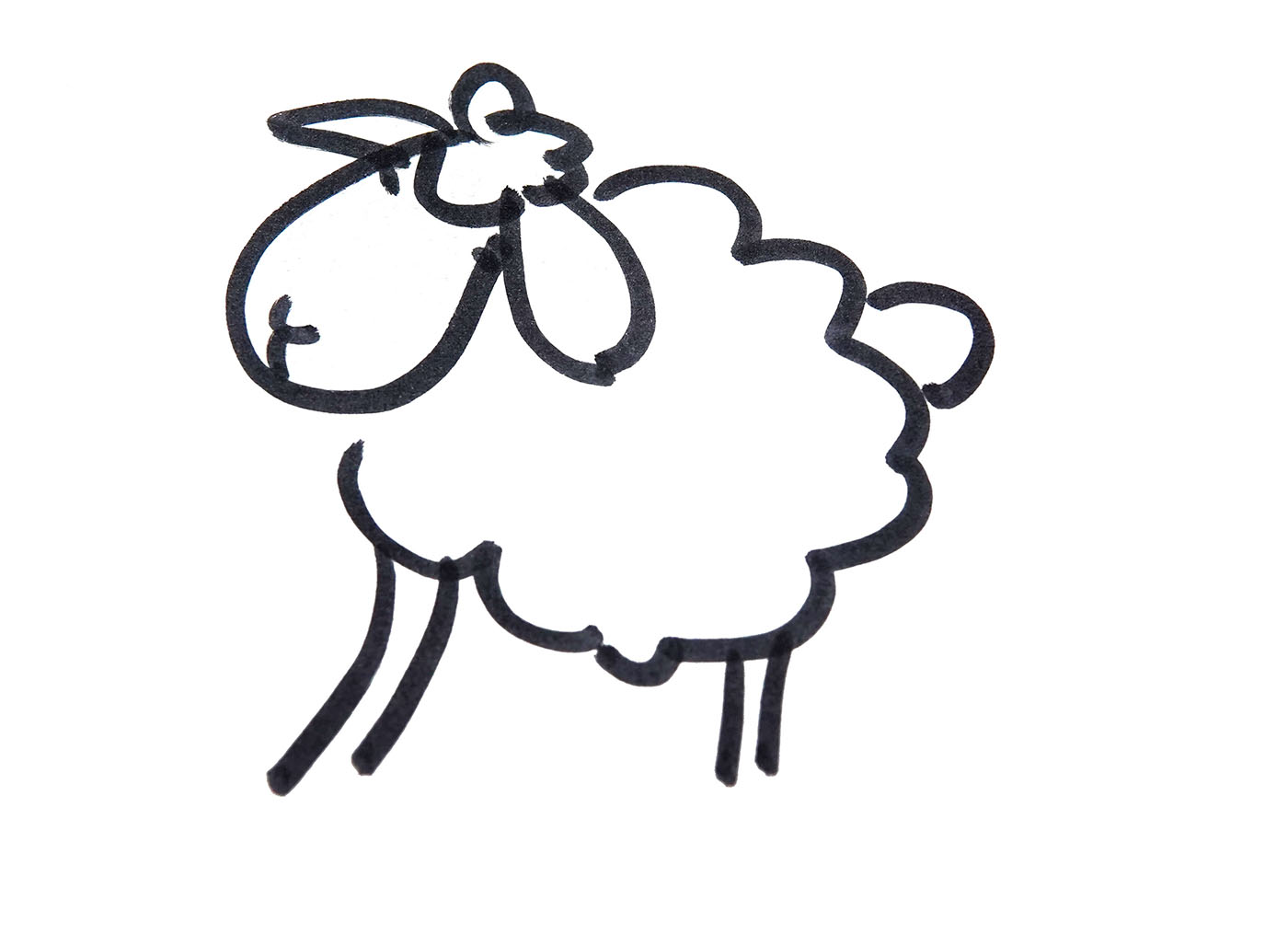 小绵羊的画法 简单简笔画步骤图 肉丁儿童网