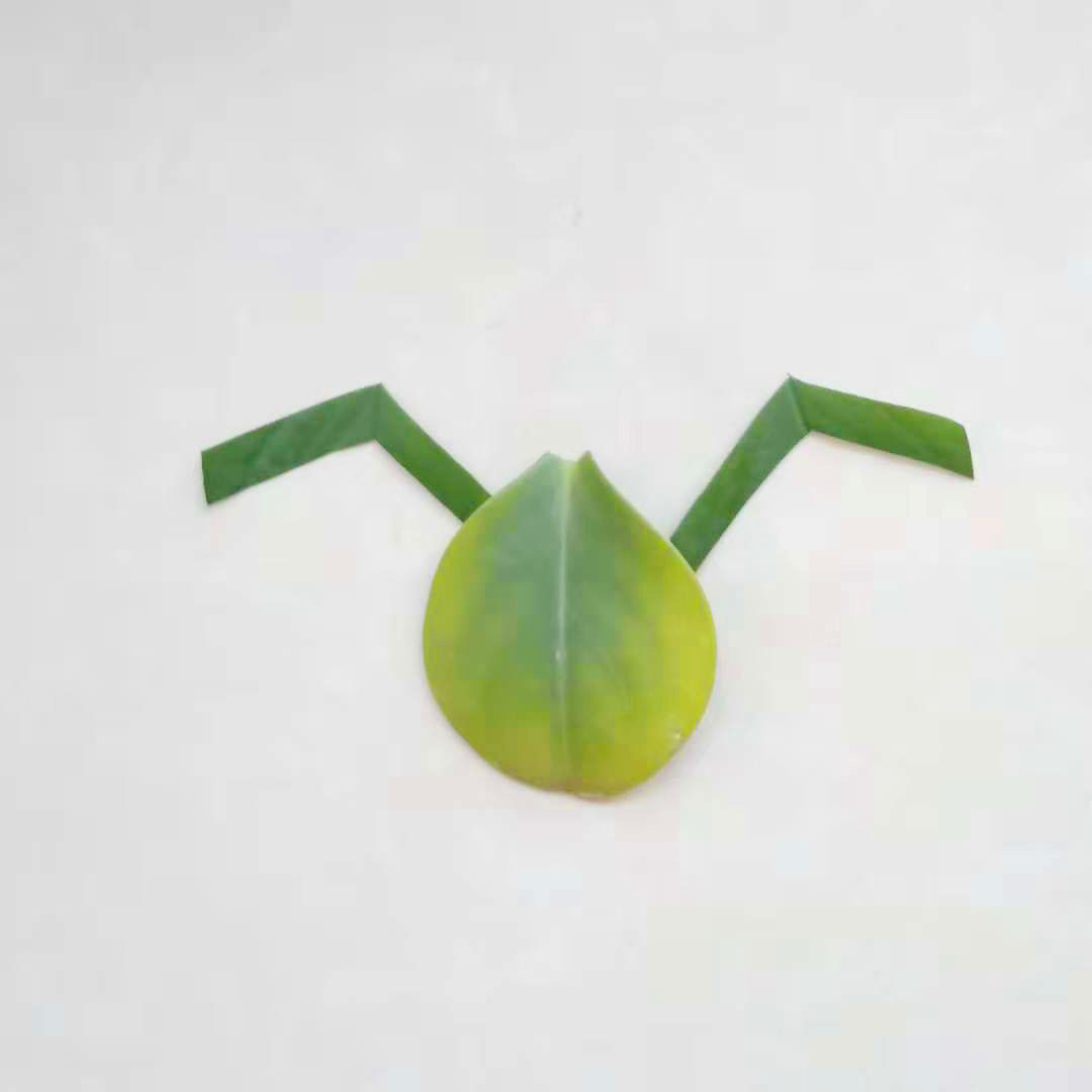 创意手工水果贴画大全 用树叶和豆子DIY蝴蝶教程