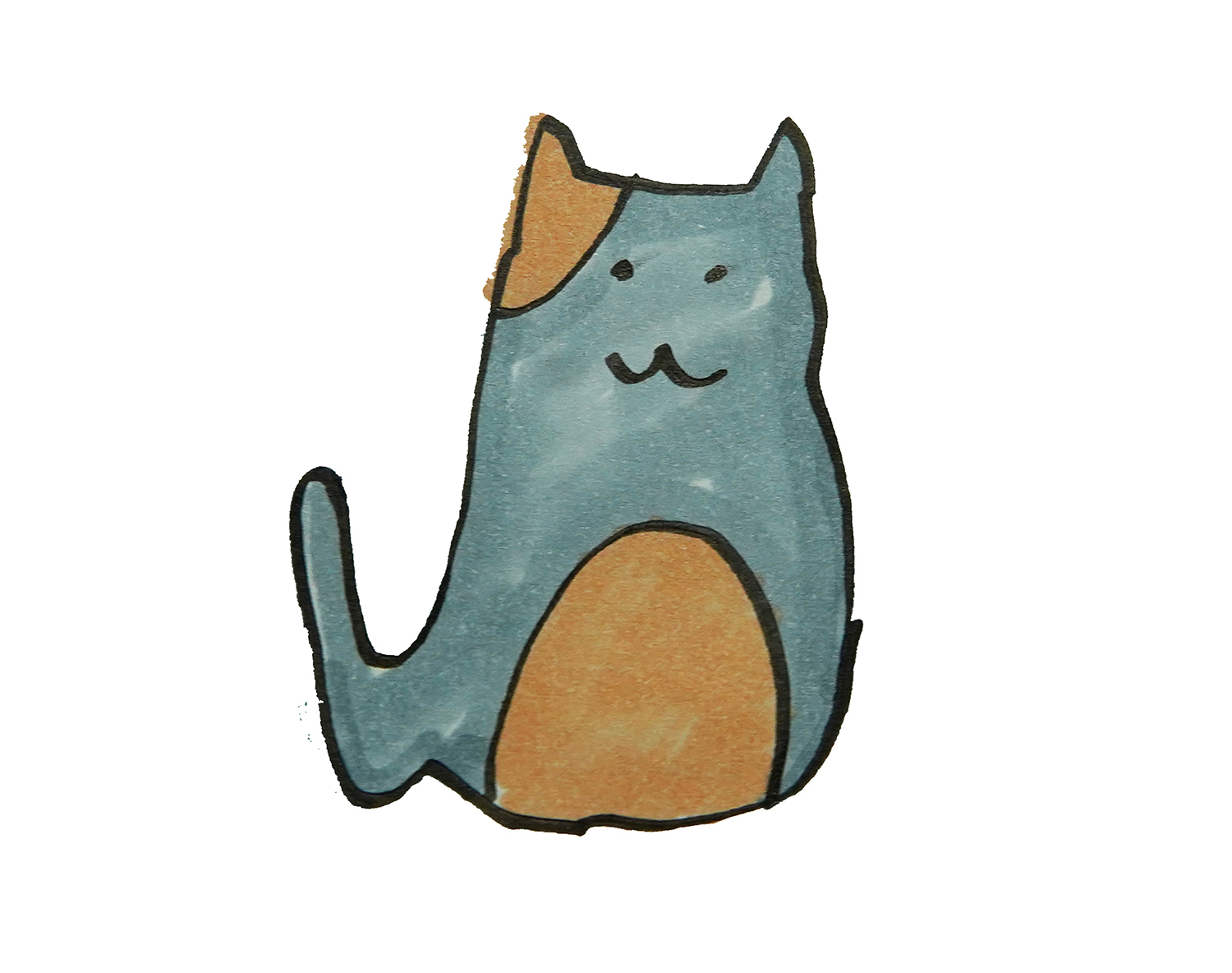 一步一步教你画有颜色小猫的画法教程 幼儿简单可爱简笔画图