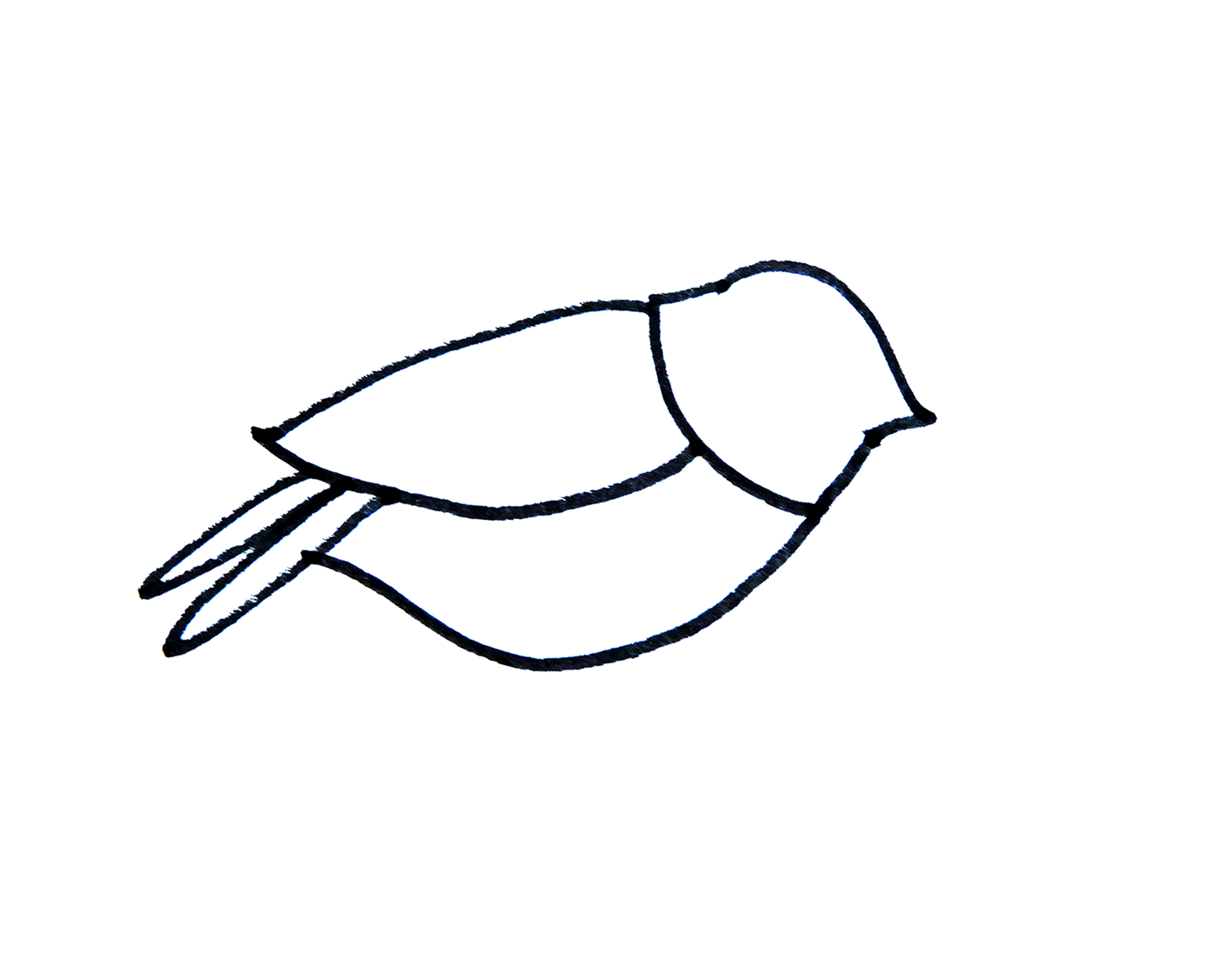 怎么画有颜色小鸟的画法图解教程  简单简笔画图