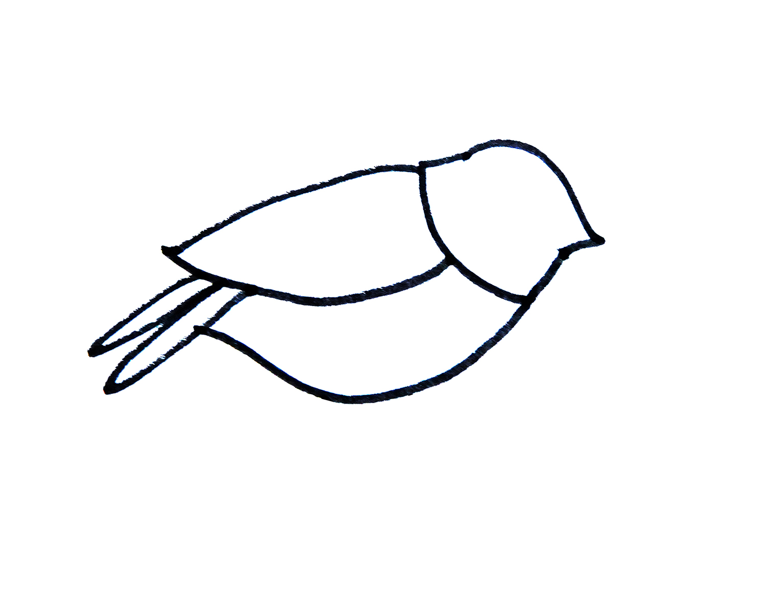 怎么画有颜色小鸟的画法图解教程  简单简笔画图