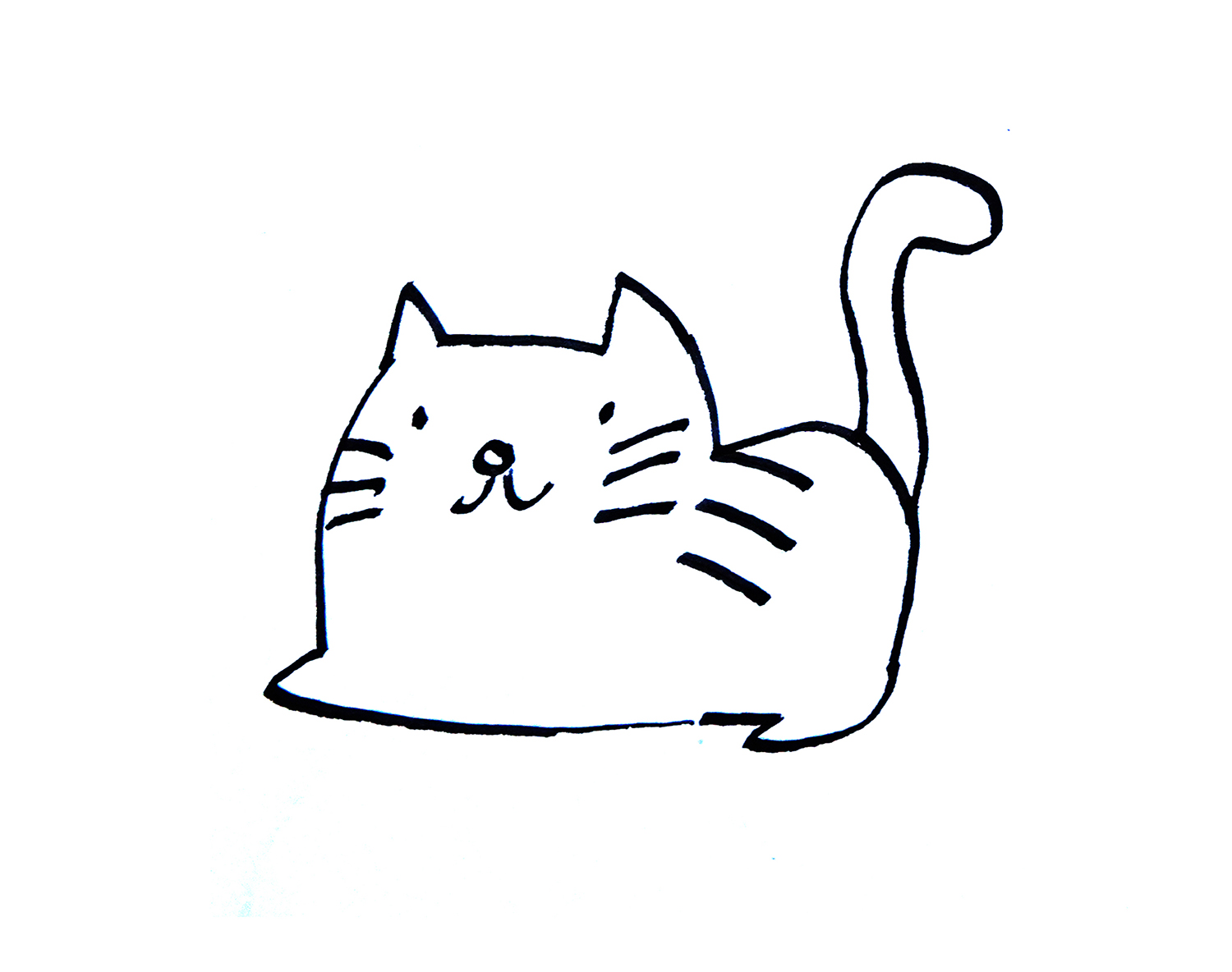 儿童画有颜色小猫的画法步骤教程  儿童可爱简笔画图