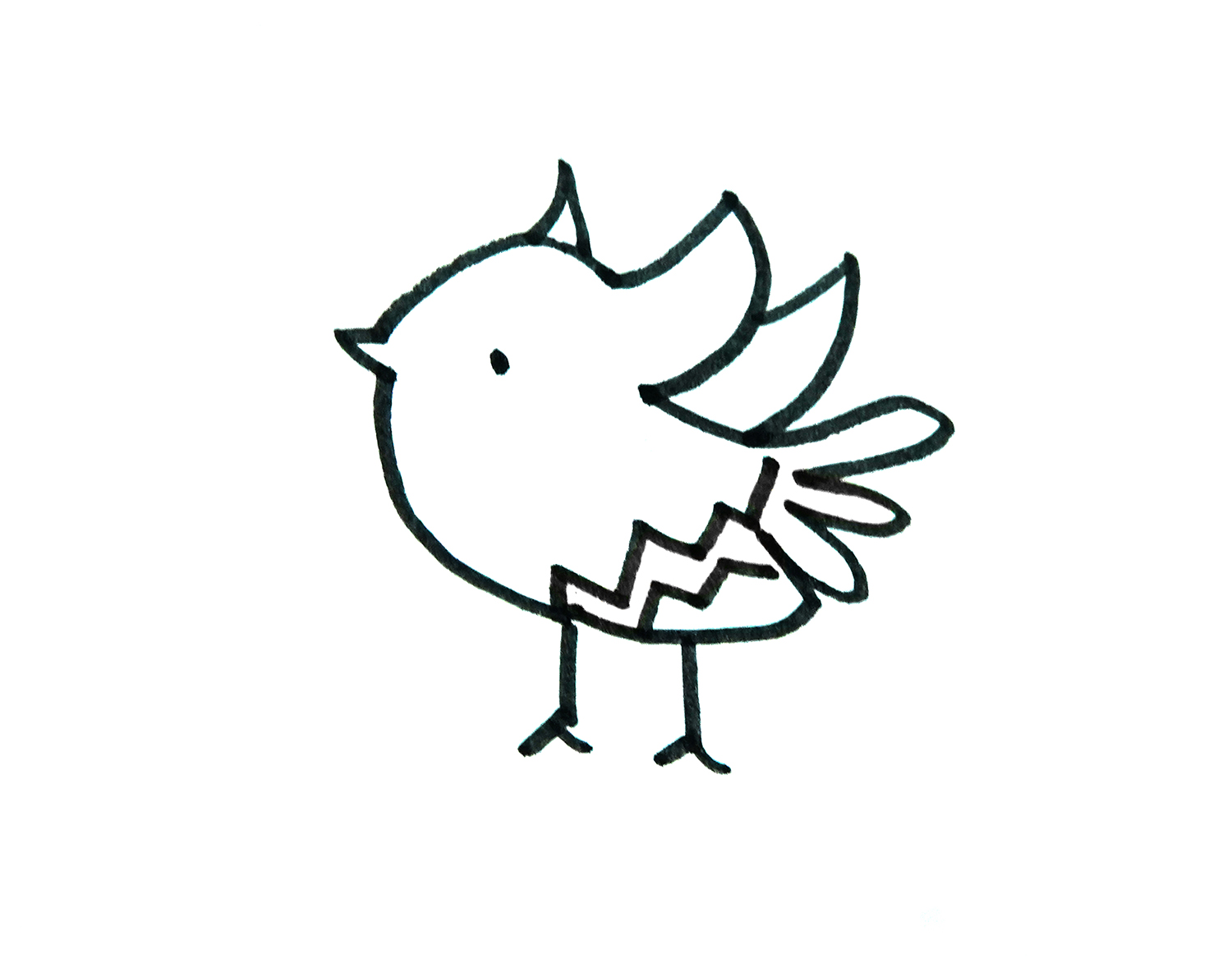 一步一步教你画有颜色小鸟的画法步骤教程  简笔画图片