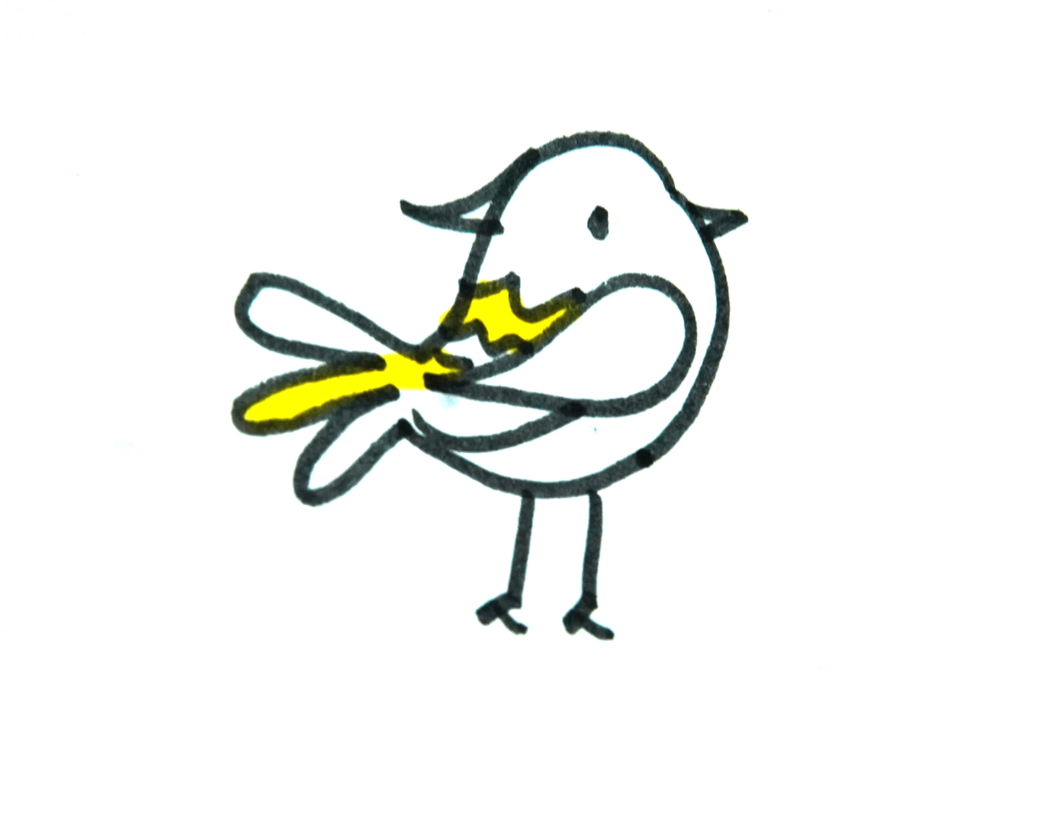 教你画色彩小鸟的画法教程 简单可爱简笔画图片