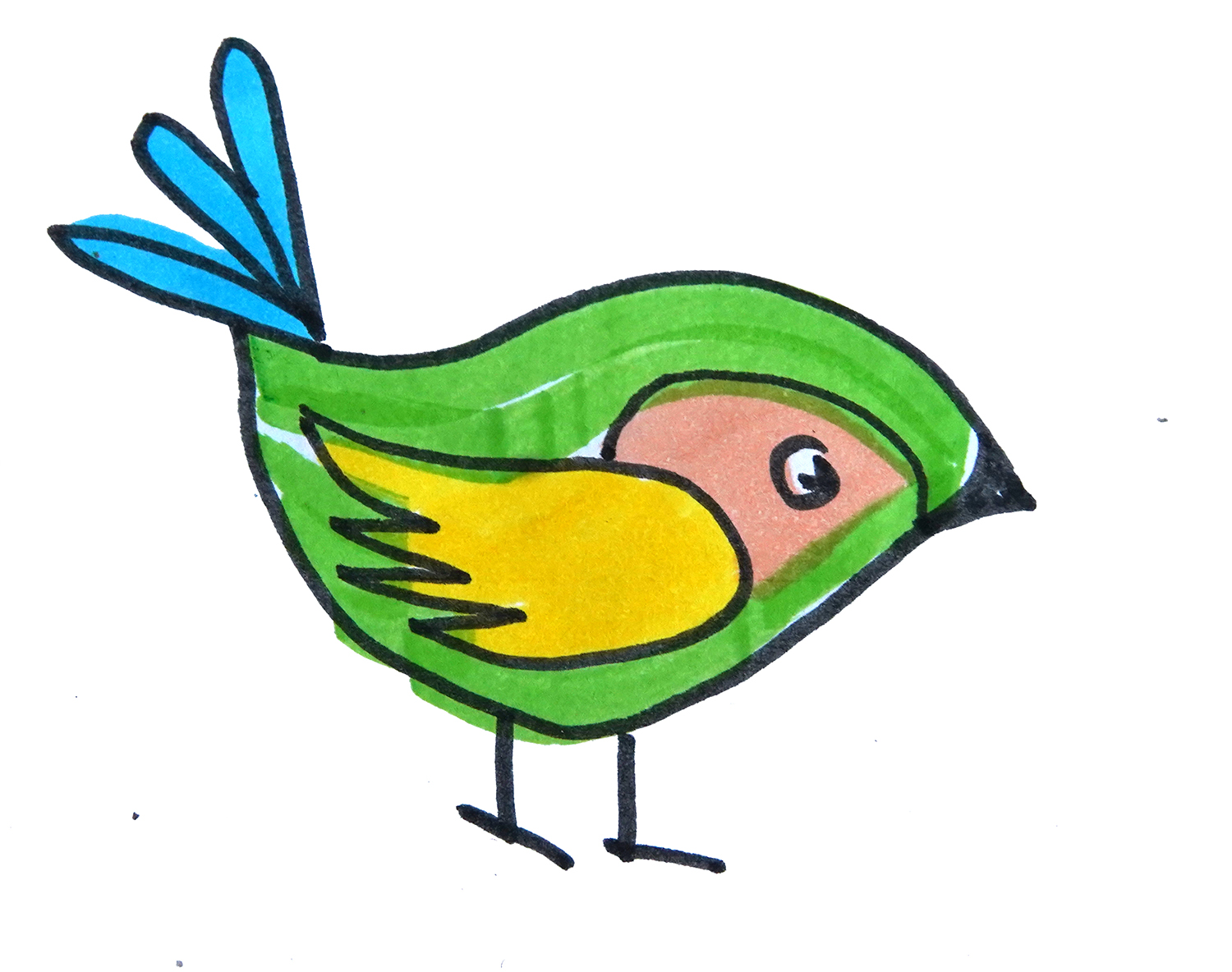 学画简笔画，彩色振翅小鸟 - 有点网 - 好手艺
