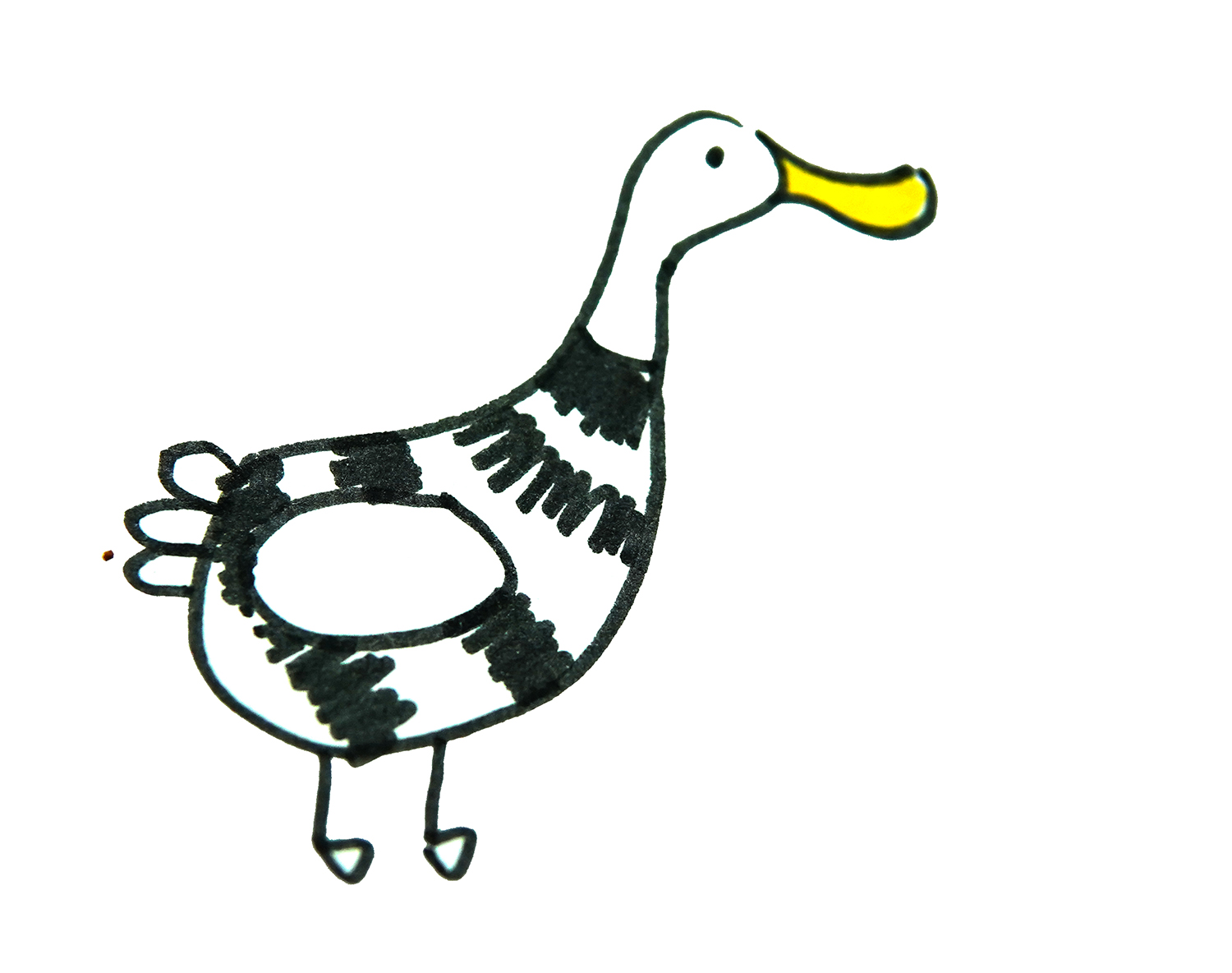小动物儿童简笔画-可爱的小鸭子_动物简笔画